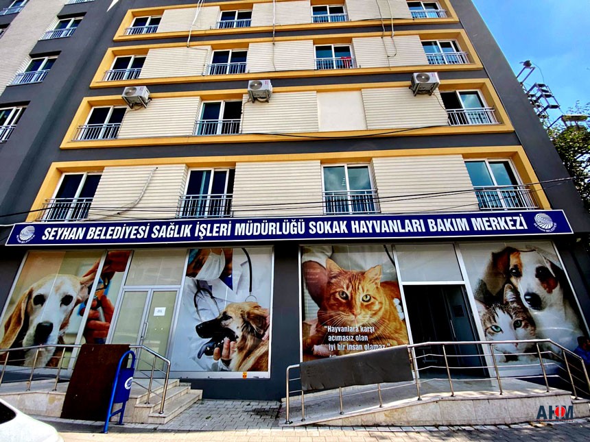 Adana'da Kedi Köpek Kısırlaştırmada Büyük Artış!
