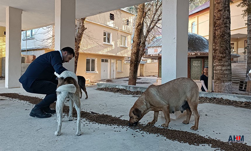 Osmaniye'de Sokak Hayvanları Kış Soğuğunda da Unutulmadı