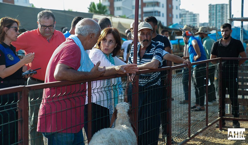 Oya Tekin'den Denetim: Kurban Satış Alanlarında İnceleme