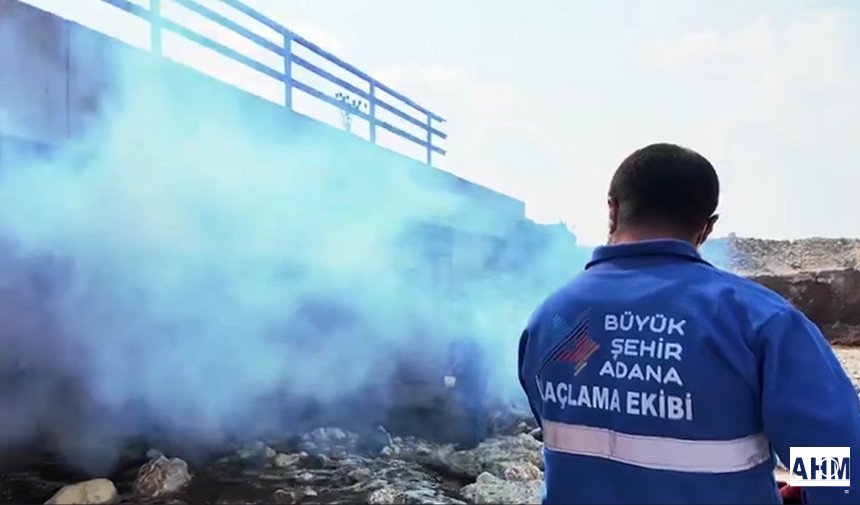 Adana’da Sinek ve Haşerelere Karşı Yoğun Mücadele