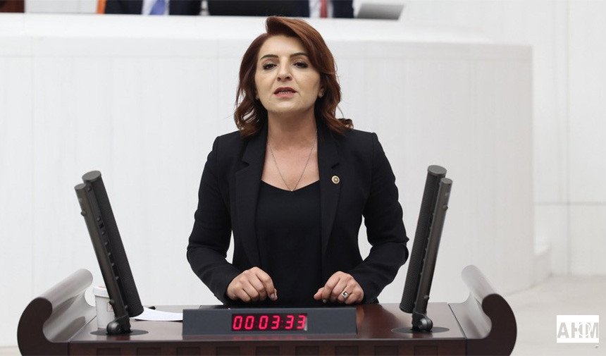 Gülcan Gül “Devlet Garantili Geçişlerin Maliyeti Devlet Sırrı Mı?”