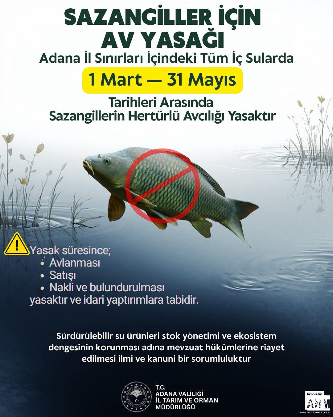 H C Uf0Xu X Q A A Q9Yp