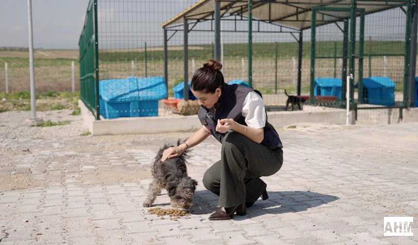 Ceyhan Belediyesi’nden Patili Dostlara Doğal Yaşam Alanı
