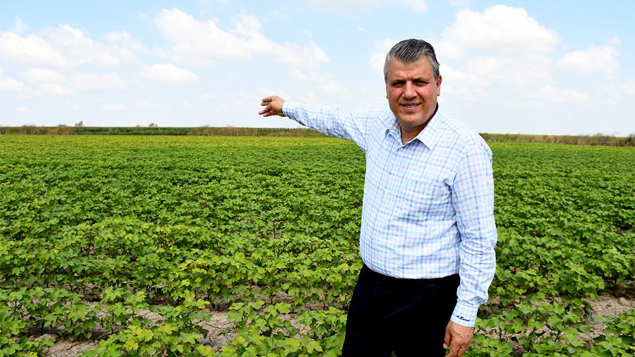 CHP'li Ayhan Barut'tan "Soya Üretimi" Çağrısı