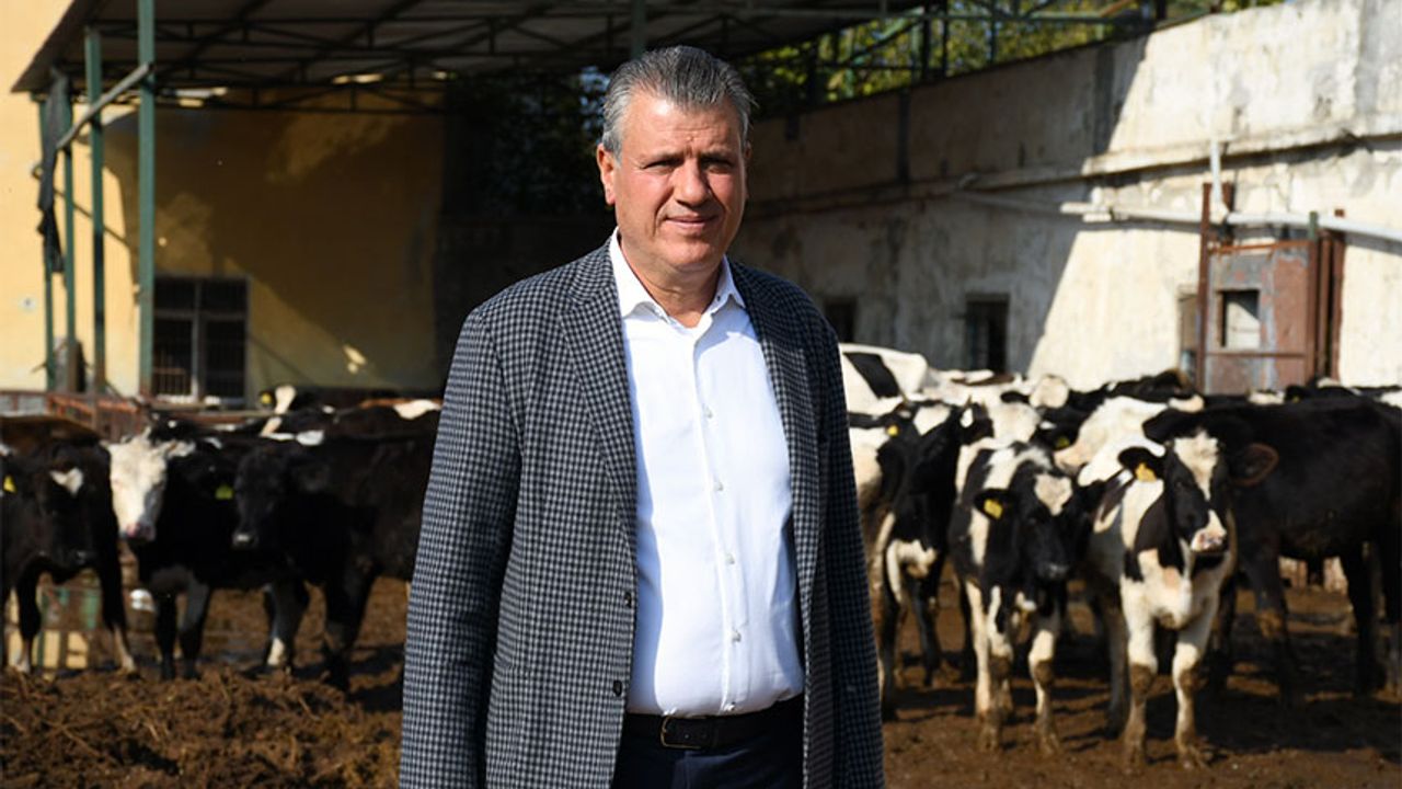 CHP'li Ayhan Barut'tan süt fiyatı tepkisi