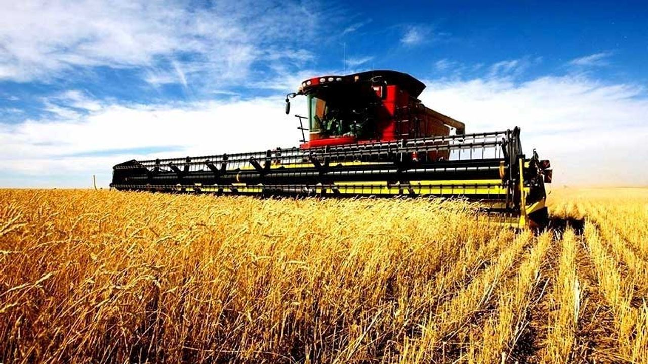 TMO’dan 470 Bin Tonluk Buğday İthalatı