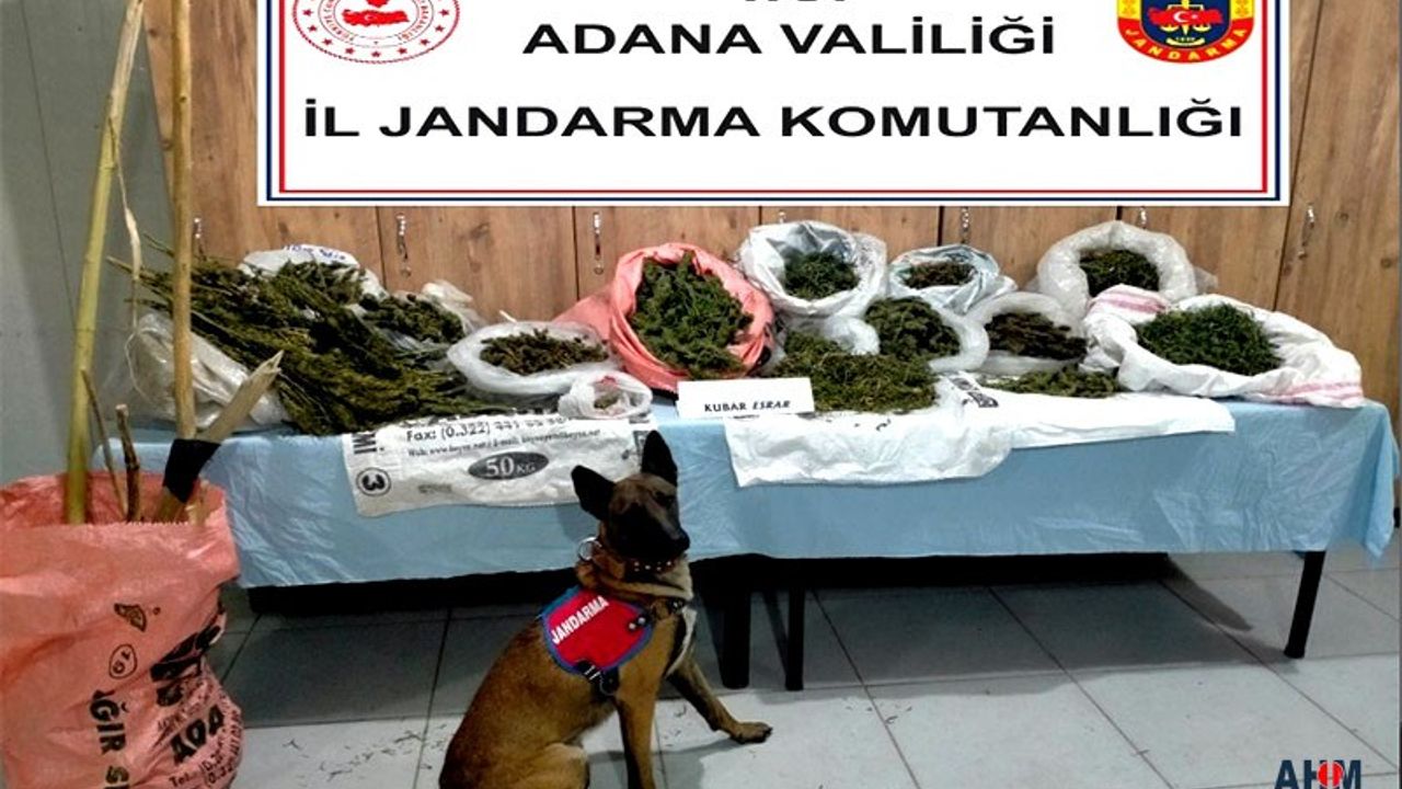 Jandarma'dan Çiftlik Evine "Uyuşturucu" Operasyonu