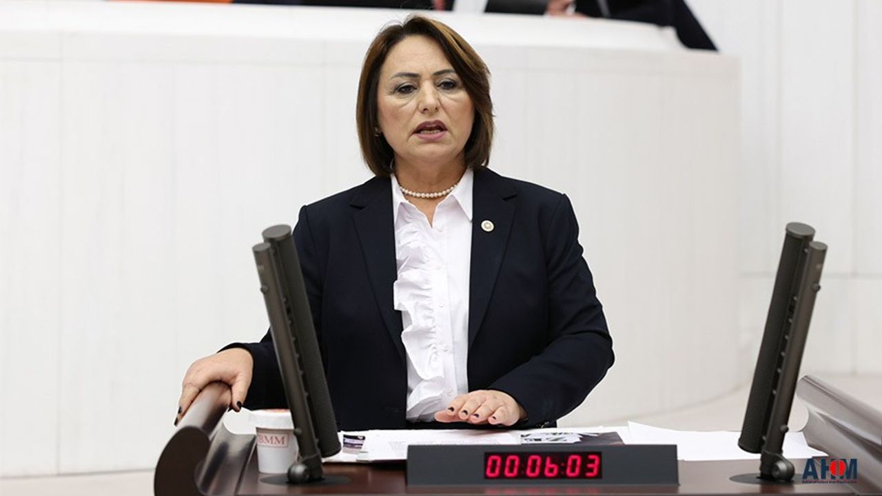 CHP'li Şevkin, “AKP, Cumhuriyet değerlerini hedef alıyor”