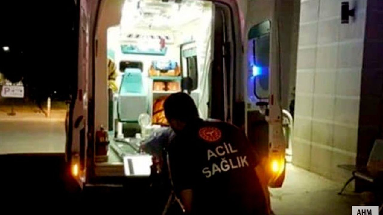 Adana'da Ev Sahibi Dehşeti: 2 Kişiyi Yaraladı, Yetmedi Köpeği de Öldürdü