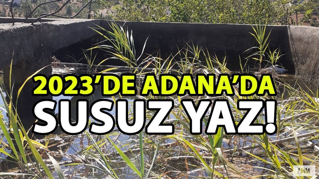 2023 Yılında Adana-Kozan’daki Mahallede “Susuz Yaz!"