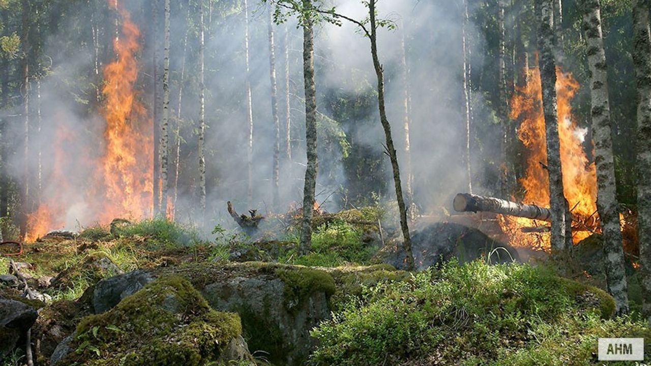 Orman Yangınlarına "Hızlı" Müdahale Mümkün Mü?