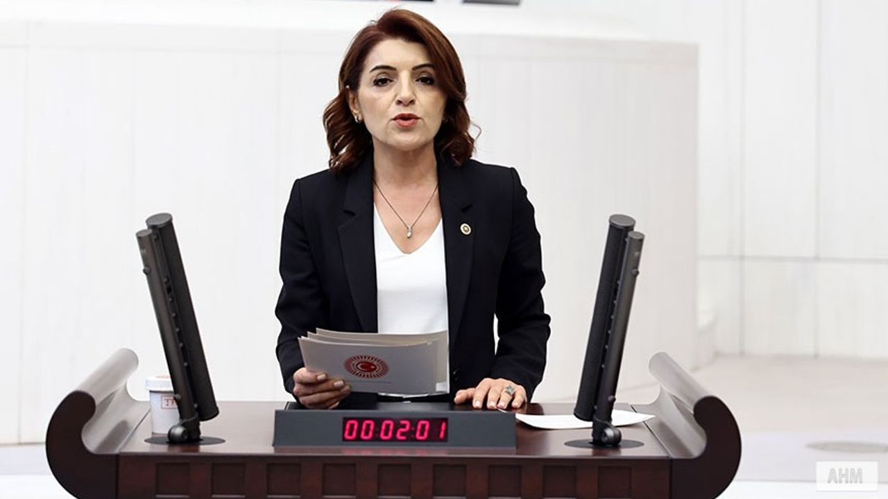 CHP Milletvekili Kış, “Bakanlar, TBMM’nin İradesini Yok Sayıyor”