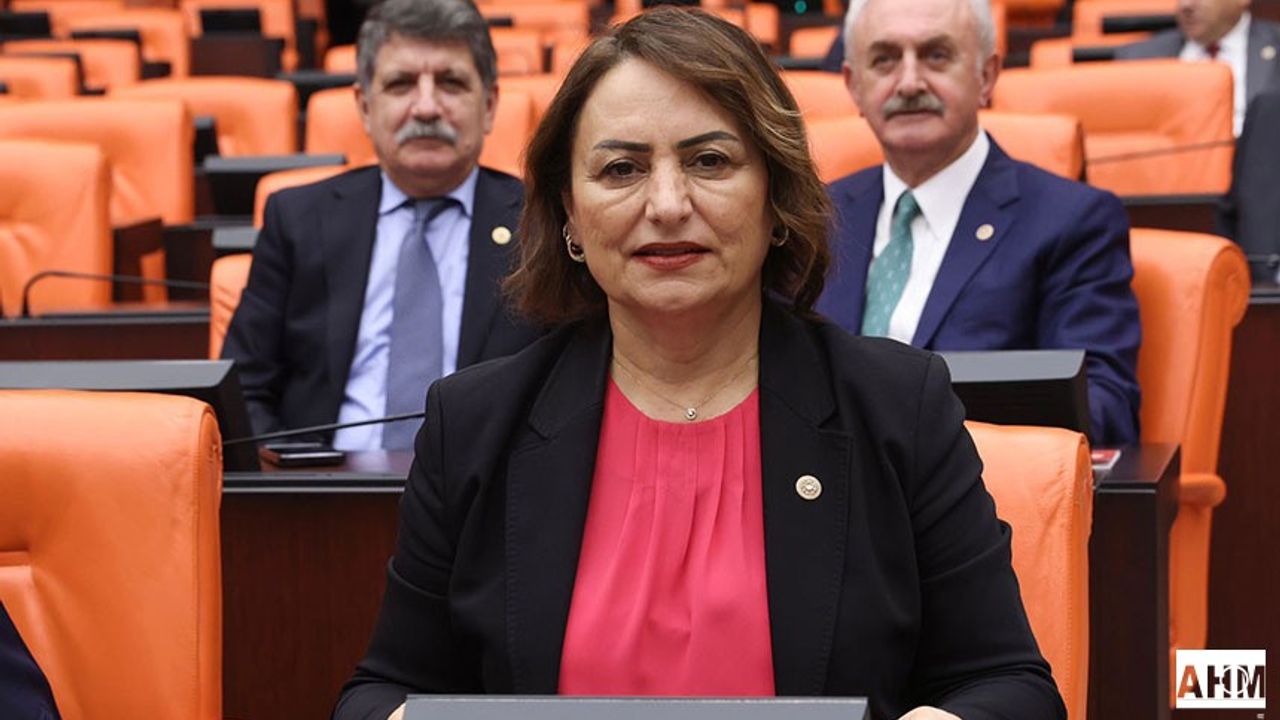 CHP’li Dr. Şevkin, Mecliste Taşerona Kadro İçin Haykırdı