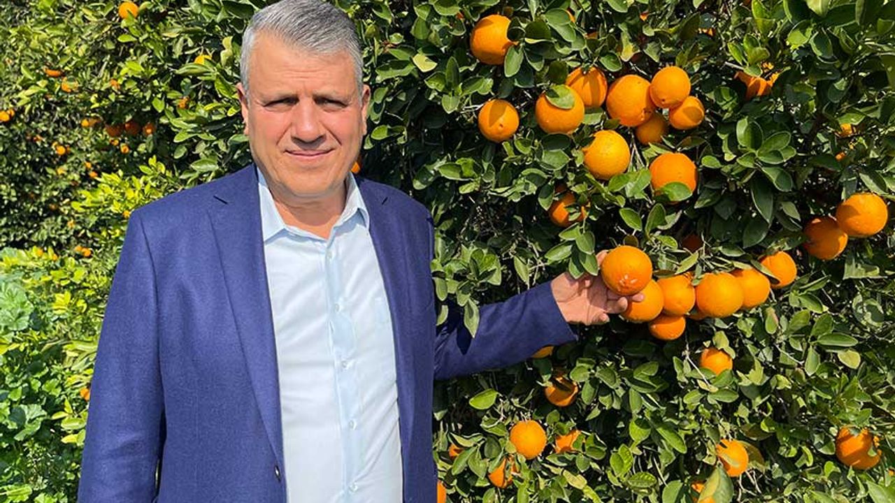 Ayhan Barut, Portakal Bahçesinden İktidara Seslendi