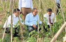 AK Parti Milletvekili Abdullah Doğru’dan Domates Üreticilerine Ziyaret