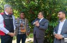 Türkiye’de Sezonun İlk Kiraz Hasadı Adana’da Yapıldı