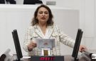 CHP’li Dr. Müzeyyen Şevkin’den Sağlık Bakanı Kemal Memişoğlu’na Kritik Soru Önergesi