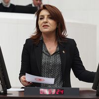 Siyaset