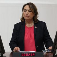 Siyaset