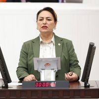 Siyaset