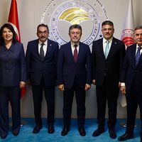 Özel