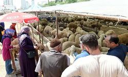 Çukurova Belediyesi Kurban Satış ve Kesim Yerlerini Açıkladı
