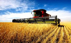 Tarımsal Girdi Enflasyonunda Yeni Rekor Kırıldı