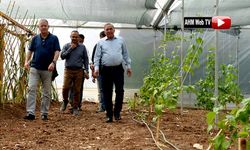 Seyhan'da Tıbbı Aromatik Bitki Üretim Tesisi Açıldı