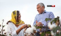 12 Yılık Çalışma Ürünü Yerli ve Milli Pamuk "Türkan" Tescillendi