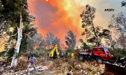 Antalya'daki Orman Yangını Hakkında Vahim İddia!