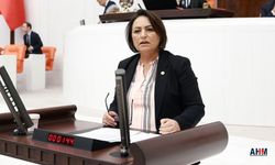 Şevkin Meclis Kürsüsünden "Saray'da İsraf" Eleştirisi
