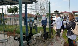 Adana Güney Rotary Kulübünden "Bağış" Katkısı