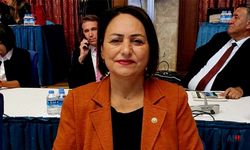 Şevkin "Üvey Evlat Muamelesini Bırakın! Türkiye'de Adana Var"