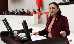 "Tezinde Hükümeti Eleştiren Öğrencilere Denklik Verilmiyor?" İddiası!