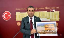 CHP'li Ecz. Vekil Bulut Gündeme Taşıdı: Kuduz Aşısı Krizi