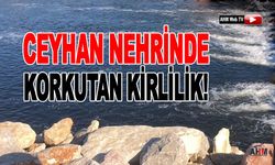 Ceyhan Nehrindeki Kirlilik Konusunda Tehlikeli Bekleyiş!