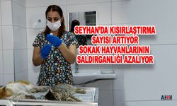 Adana'da Kedi Köpek Kısırlaştırılmasında Büyük Artış!