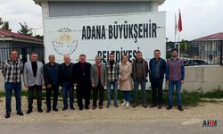 Büyükşehir-Veteriner Hekimler Odasının Kısırlaştırma Projesi Sürüyor