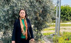 Şevkin'den "Rant" ve "Talan" İddiası: “Vatandaş can derdinde, iktidar talan peşinde”