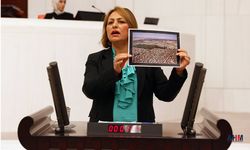 CHP’li Şevkin, Meclise ‘Deprem Araştırma Önergesi’ Sundu