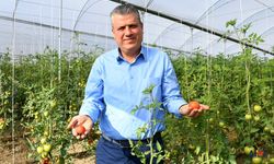 Ayhan Barut, Domates Üreticilerinin Feryadını Seslendirip Çözüm İstedi!