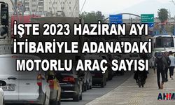 Adana'da Kayıtlı Motorlu Araç Sayısı Giderek Daha da Artıyor!