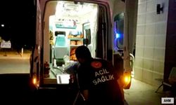 Adana'da Ev Sahibi Dehşeti: 2 Kişiyi Yaraladı, Yetmedi Köpeği de Öldürdü