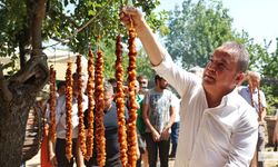 Antalya Gastronomi Festivali ile "Mor Üzüm" Hasadı Başladı