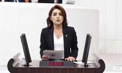 Gulcan Kış "İhale Var, Firma Var, Yol Yok! Akbelen Kavşağı’nda Neler Oluyor?"