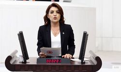 CHP Milletvekili Kış, “Bakanlar, TBMM’nin İradesini Yok Sayıyor”