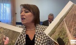 Şevkin'den Suçlama “Tarım Bakanı, Ölü Balık Taklidi Yapıyor”