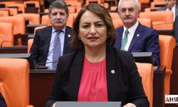 CHP’li Dr. Şevkin, Mecliste Taşerona Kadro İçin Haykırdı