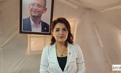 CHP'li Gülcan Kış "Hatay'ı Elbirliğiyle Ayağa Kaldıracağız"