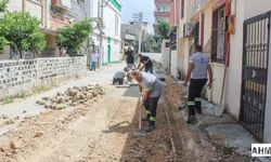 Seyhan'da Sokak Sağlıklaştırma Çalışması: Parke Yollar Düzenleniyor